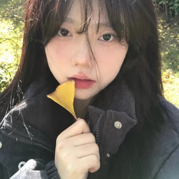 五女闹京城封面