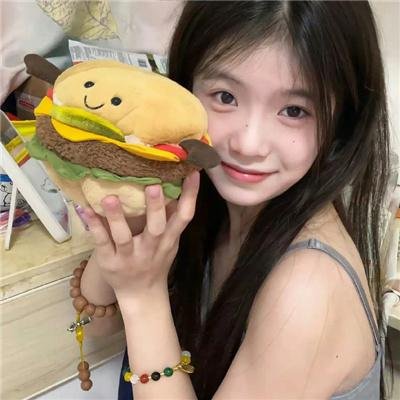 甜木兰第四季封面