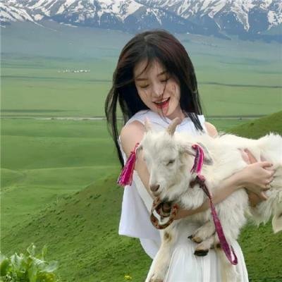 尘缘不神山封面